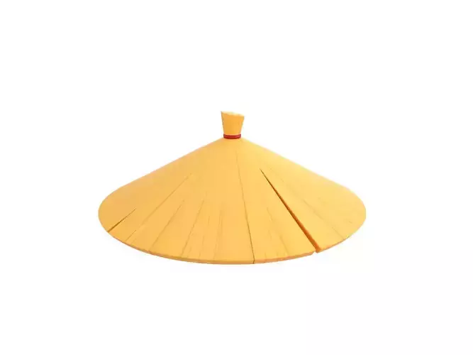 Chinese Conical Hat 3D model