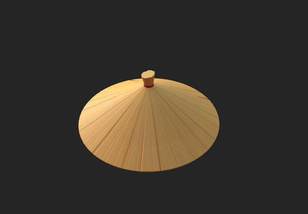 Chinese Conical Hat 3D model_12