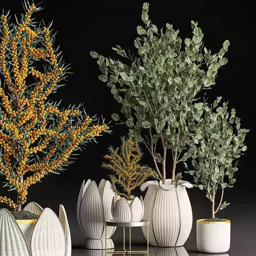 Decorative trees in white baskets for the interior 541
