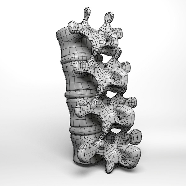 Lumbar vertebrae 3D model_1