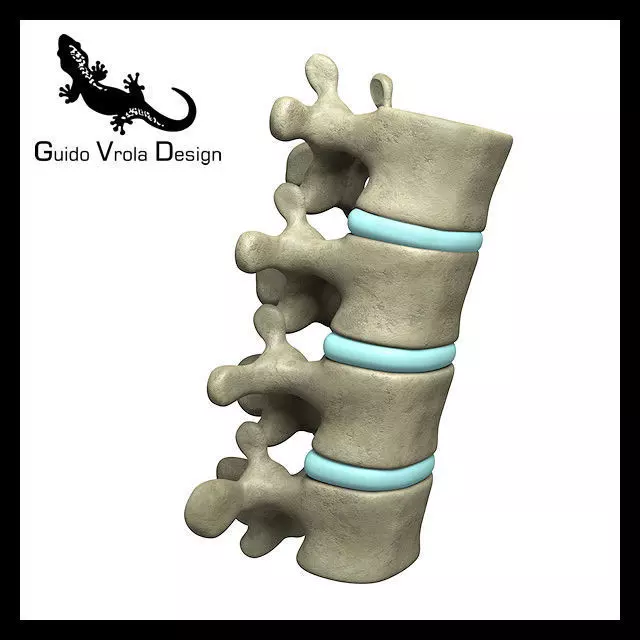 Lumbar vertebrae 3D model_0