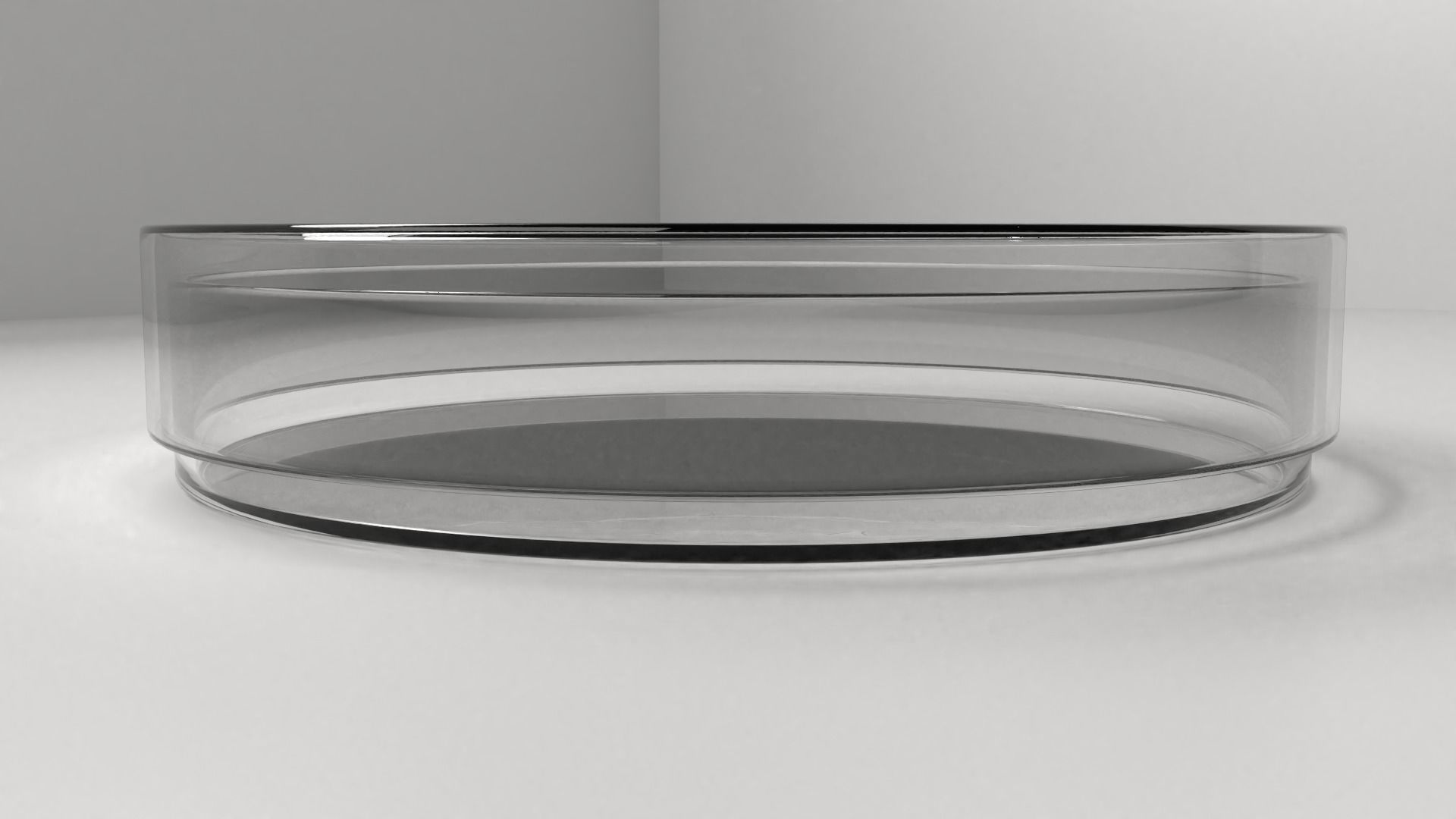 Glass Petri Dish 3D model_1