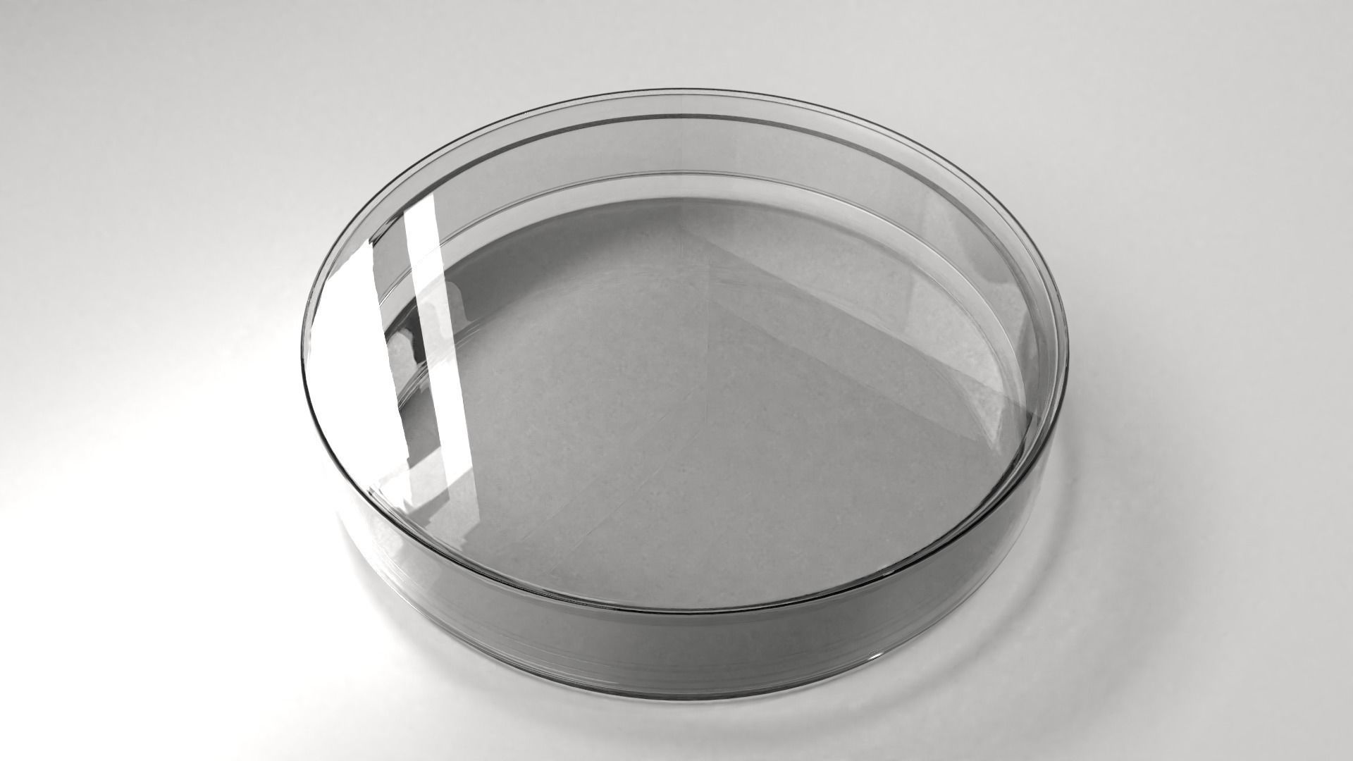 Glass Petri Dish 3D model_2