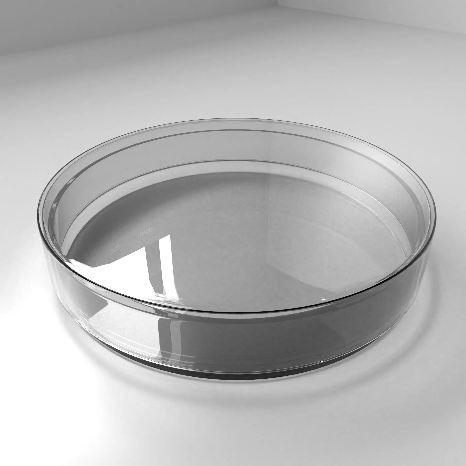 Glass Petri Dish 3D model_0