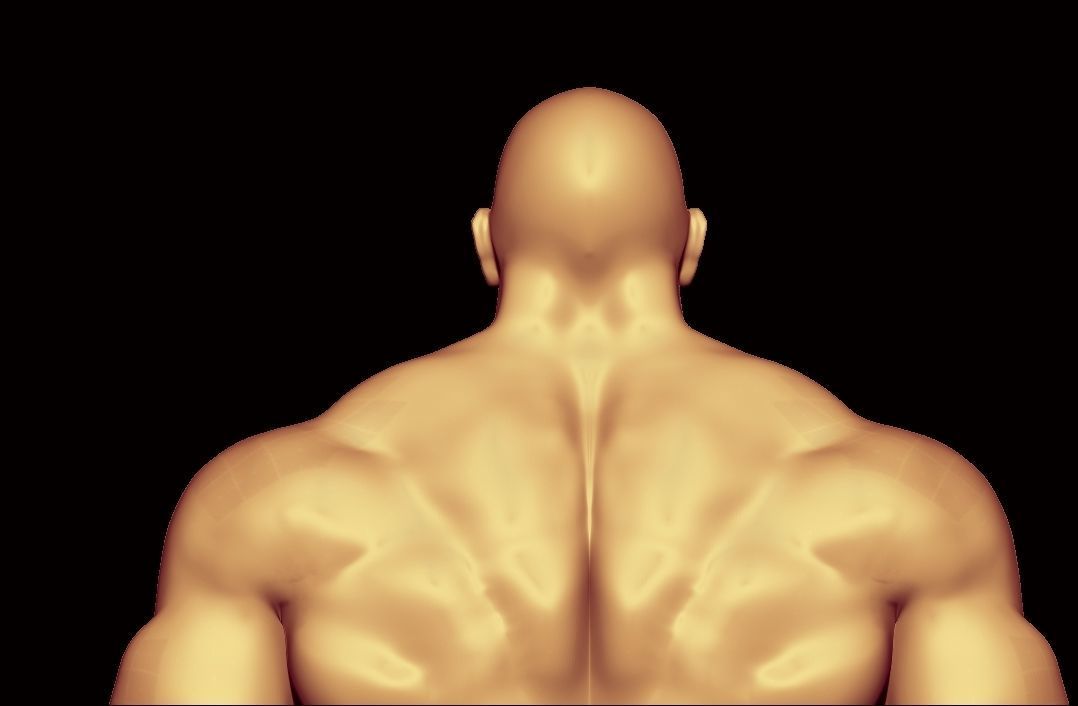 bodybuilder   fighter  Low-poly 3D model_16
