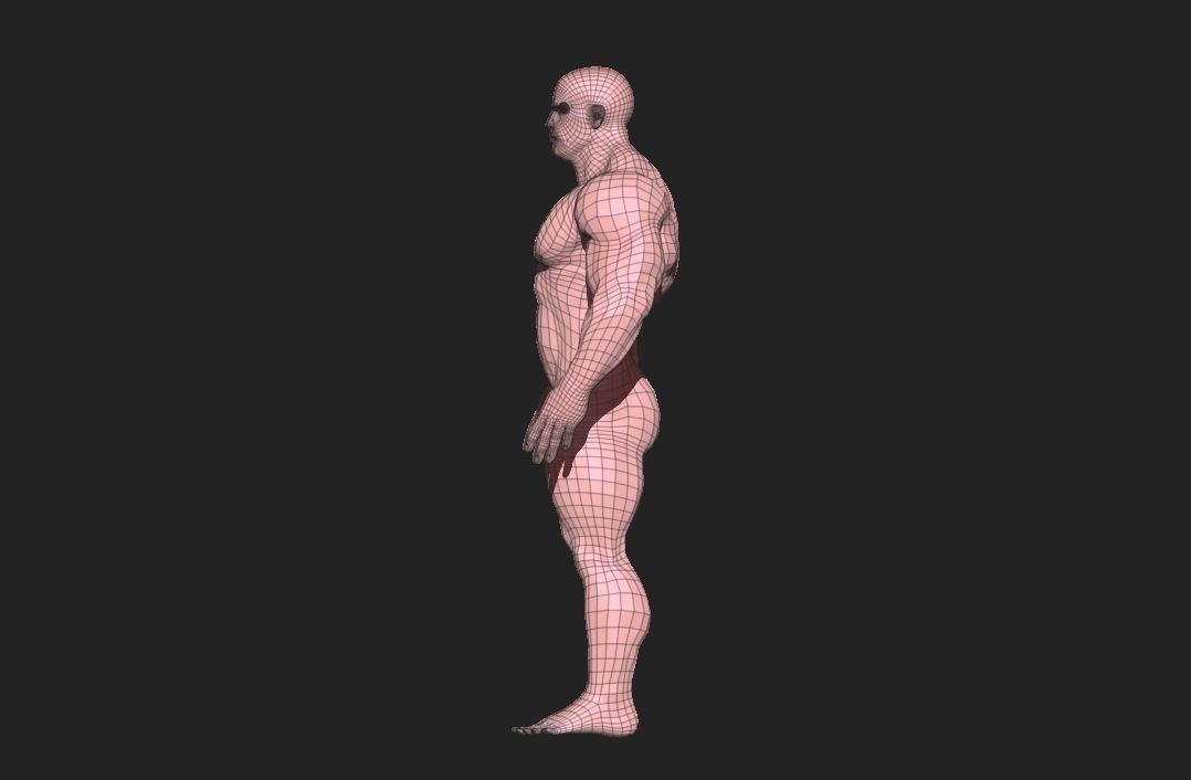 bodybuilder   fighter  Low-poly 3D model_5