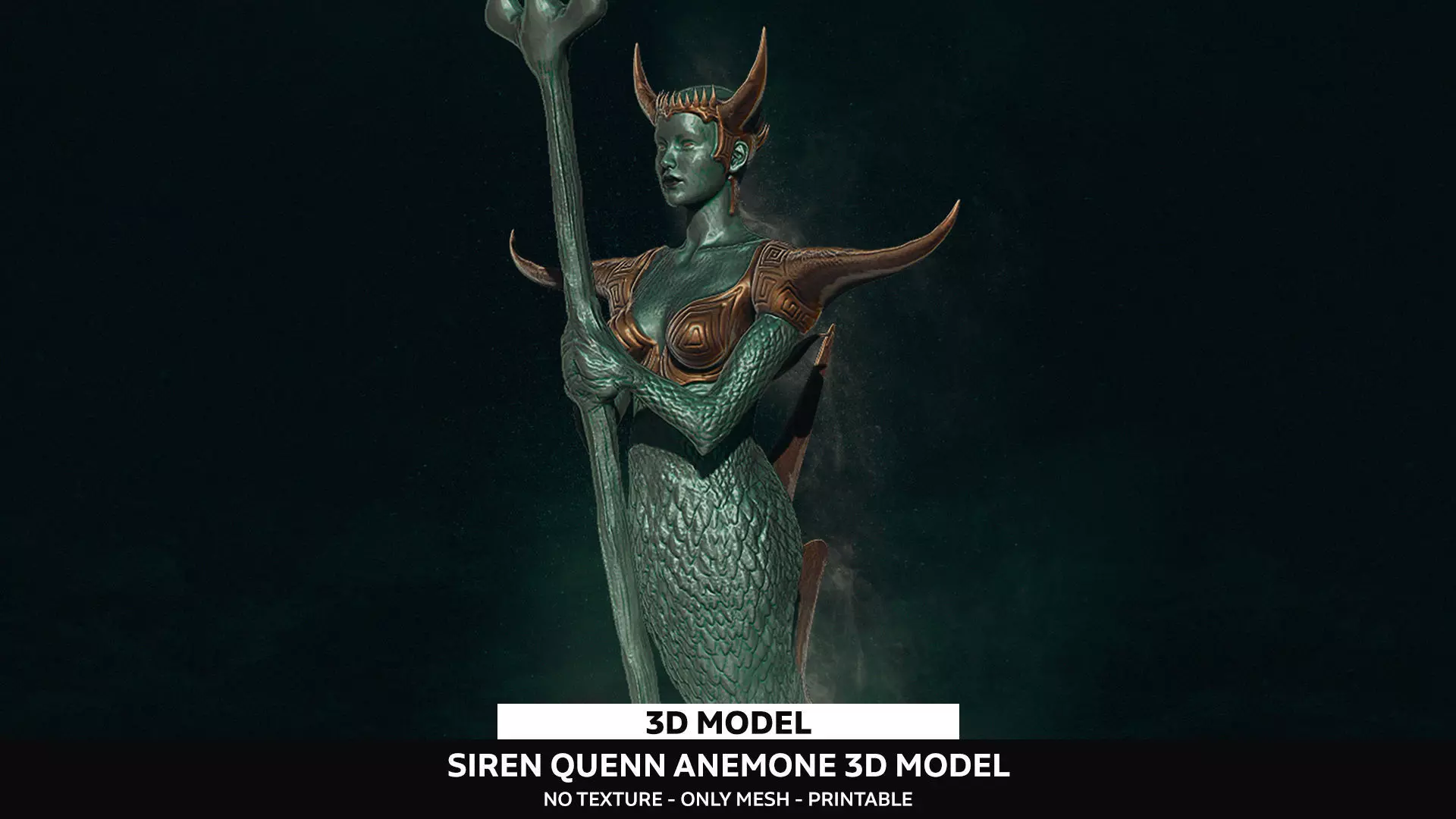 Siren Queen Anemone 3D model_0
