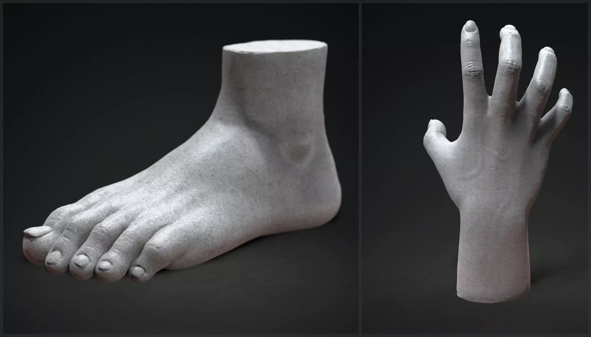 Hand and foot 3D model_0