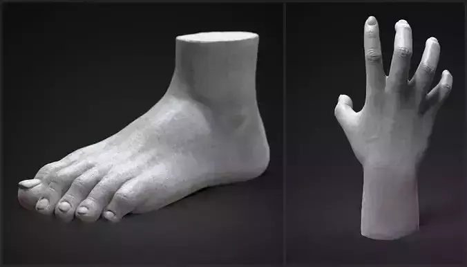 Hand and foot 3D model
