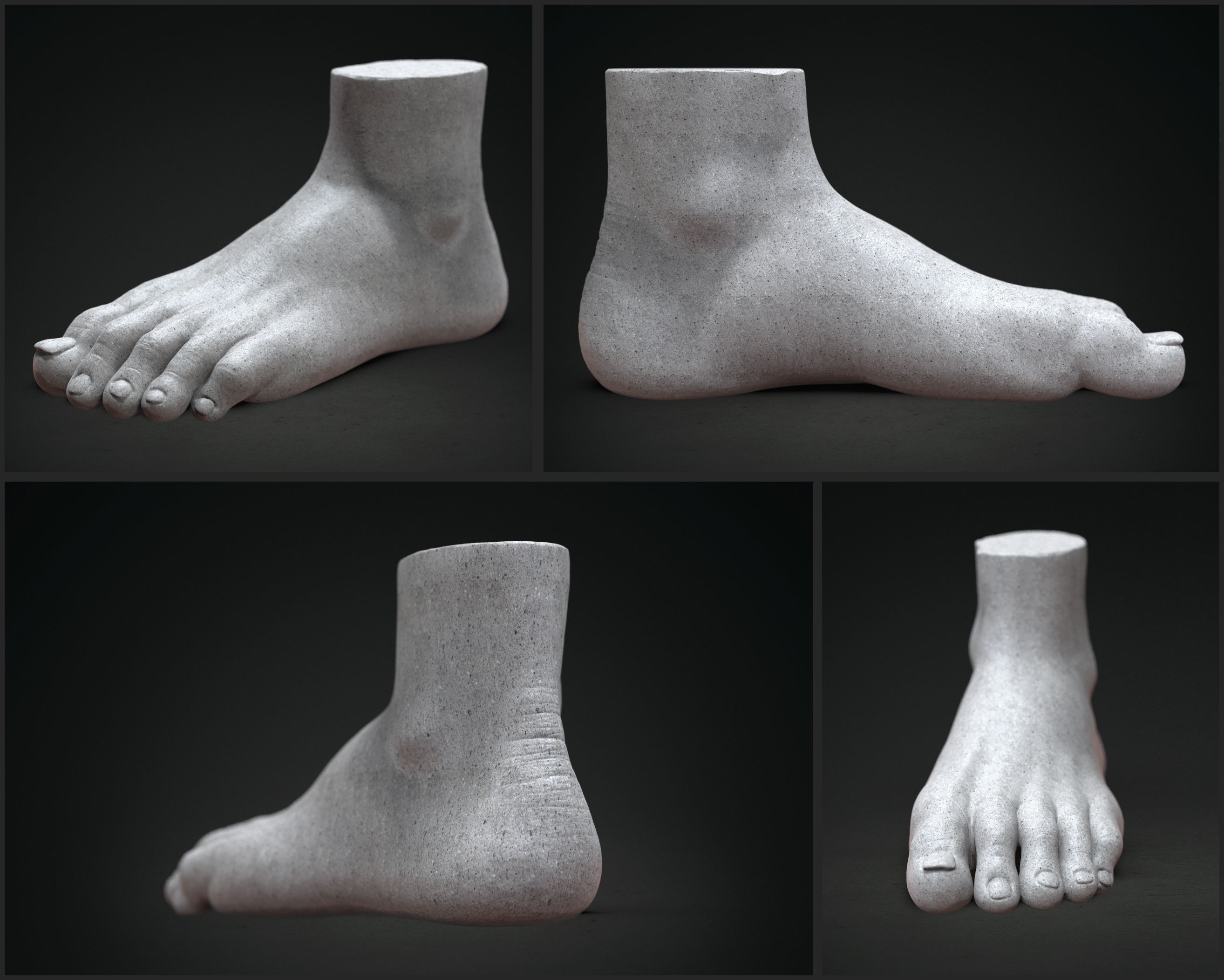 Hand and foot 3D model_1