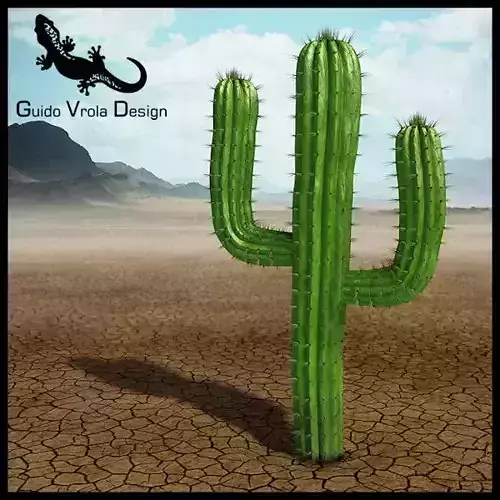 Saguaro cactus 3D model