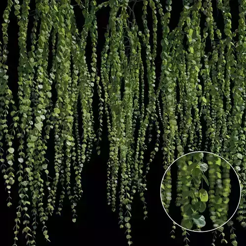 High Poly Ivy Set weeping willow