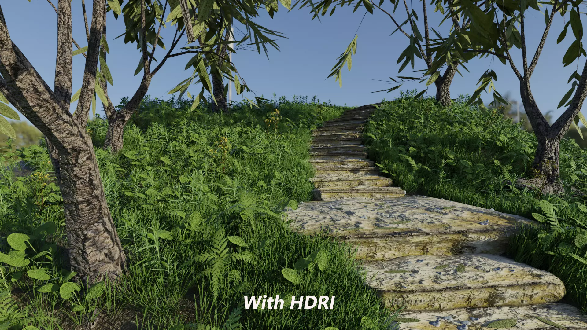 Steps Forest Scene 3D model