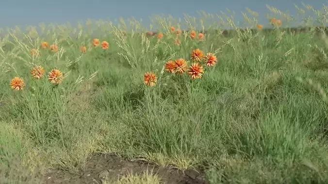 growing grass animation