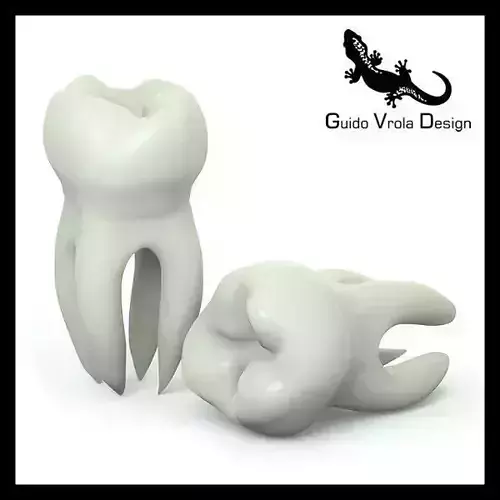 Molar Tooth