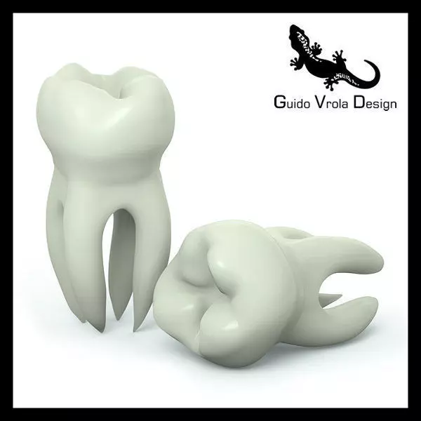 Molar Tooth 3D model_0