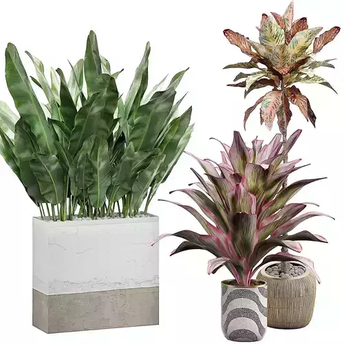 Potted plants Set 29 3D model