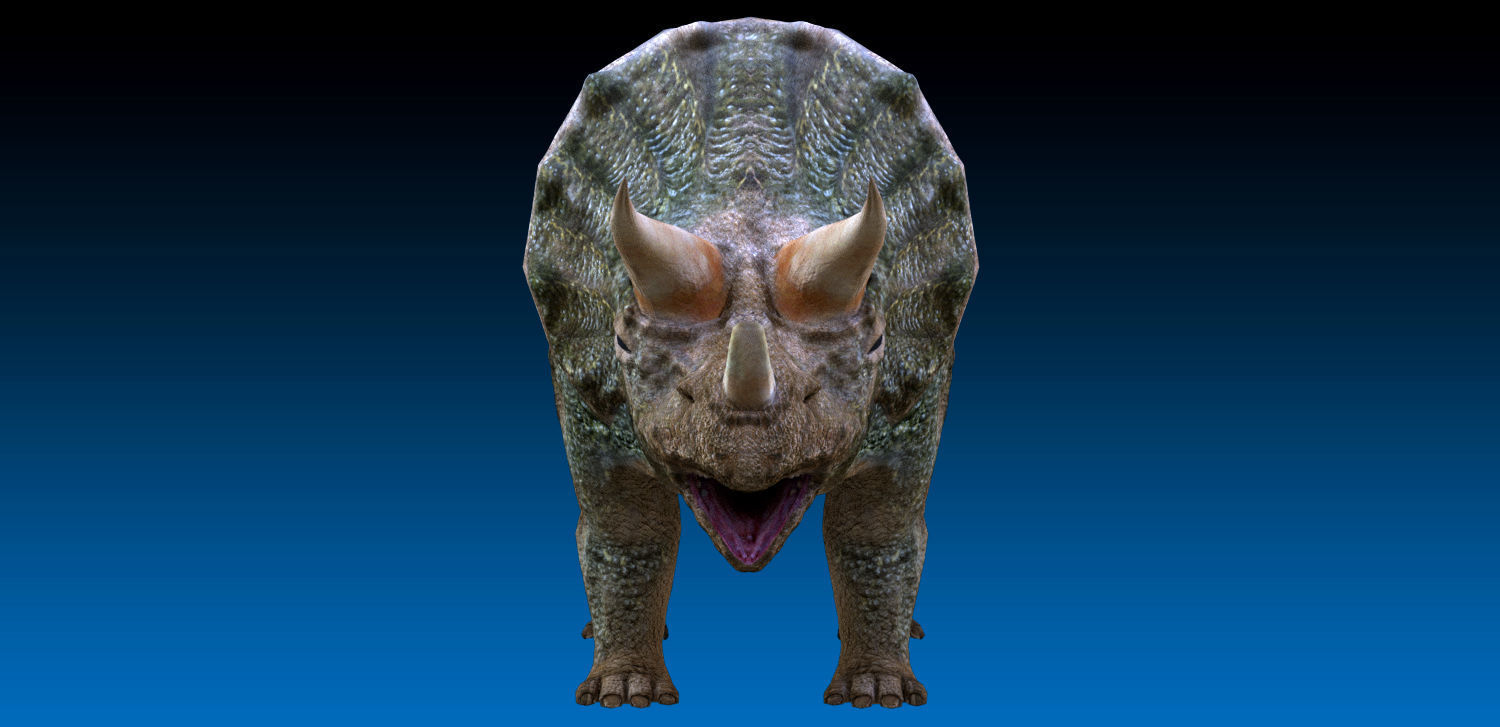 Triceratops Jurassic Dinosaur  Low-poly 3D model_3