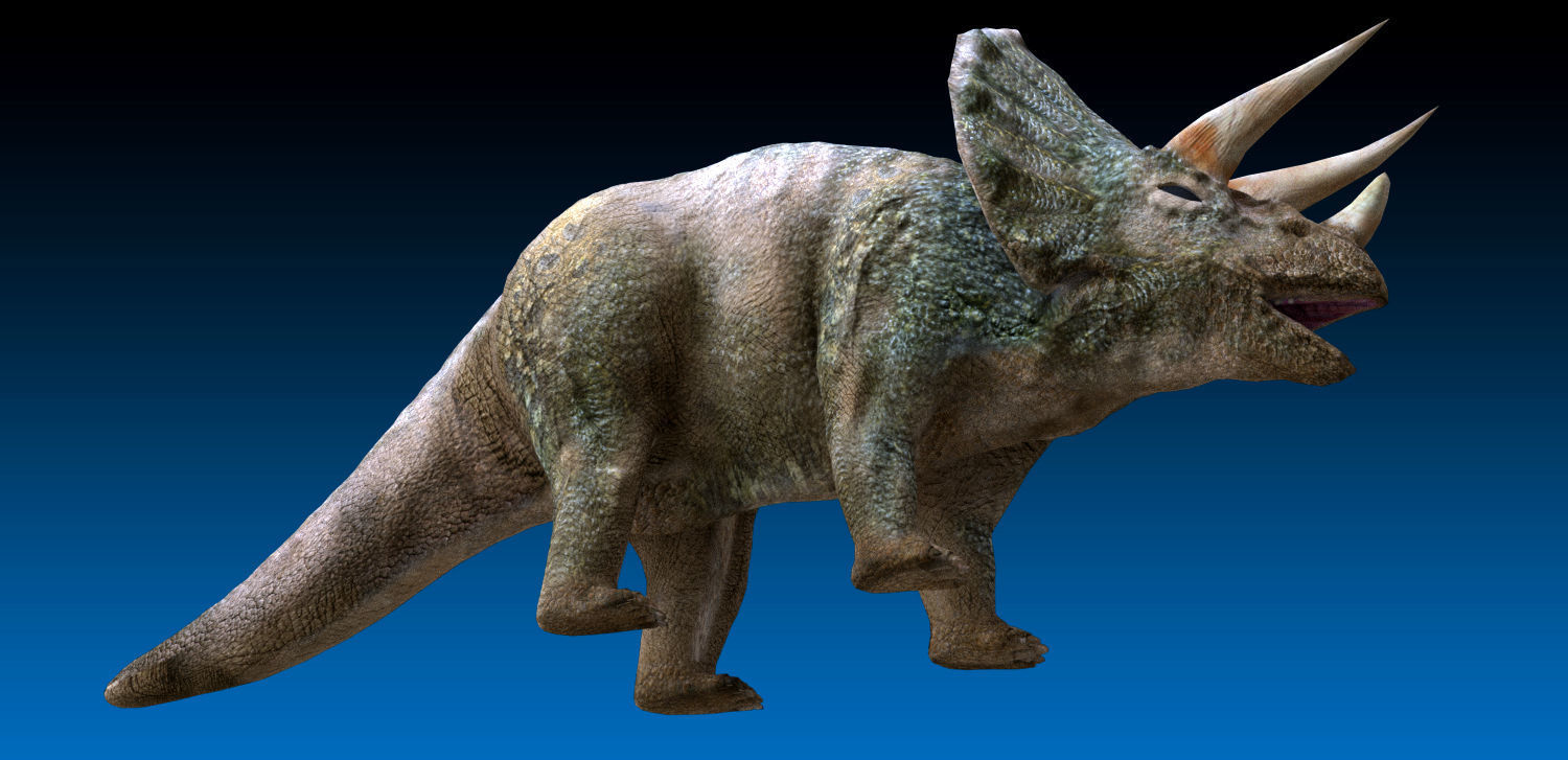 Triceratops Jurassic Dinosaur  Low-poly 3D model_2