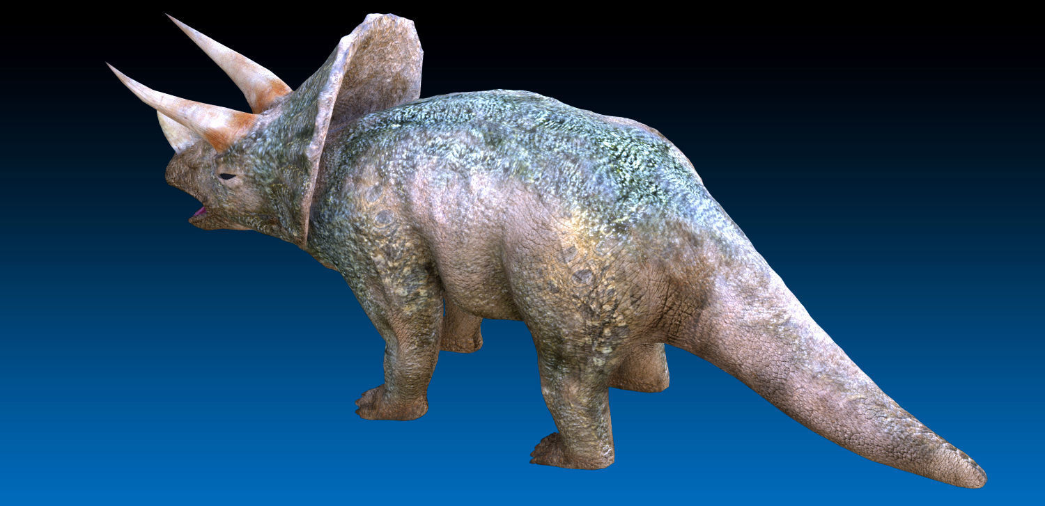 Triceratops Jurassic Dinosaur  Low-poly 3D model_1