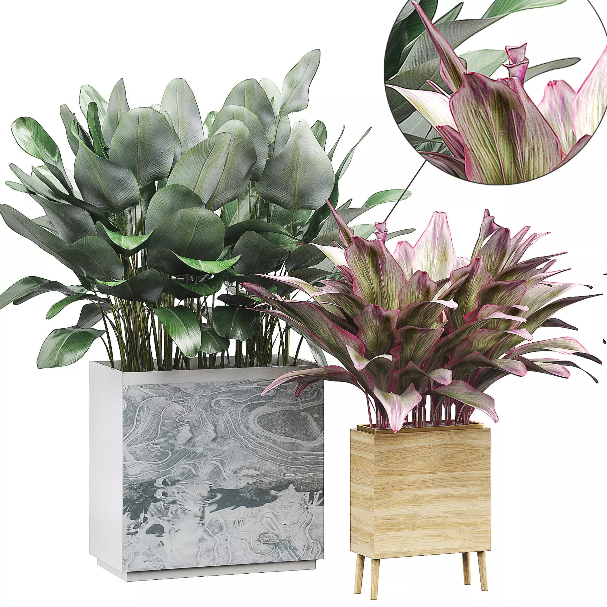 Flower Pack 30 3D model_0