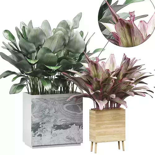 Flower Pack 30 3D model