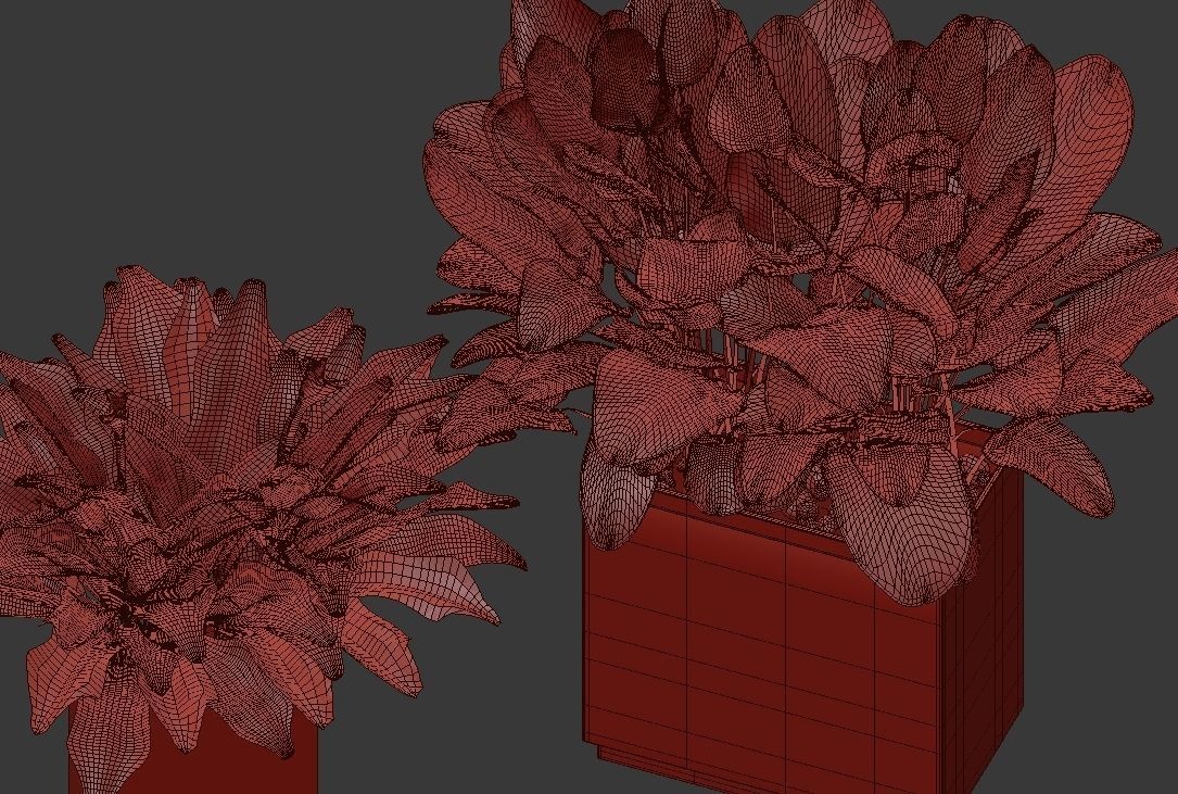 Flower Pack 30 3D model_4