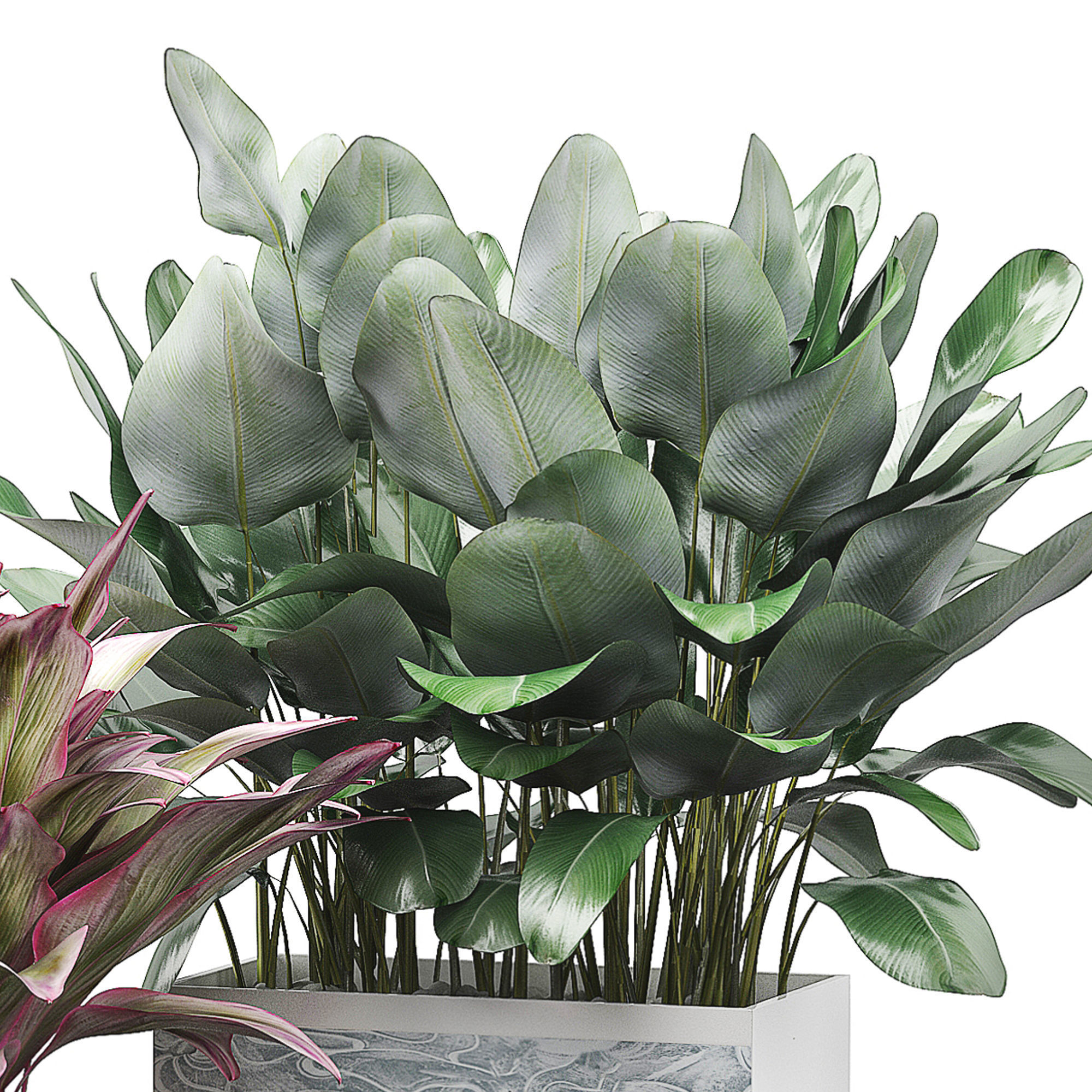 Flower Pack 30 3D model_2