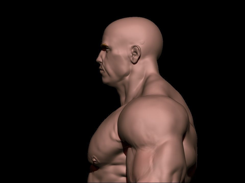 bodybuilder male Low-poly 3D model_18