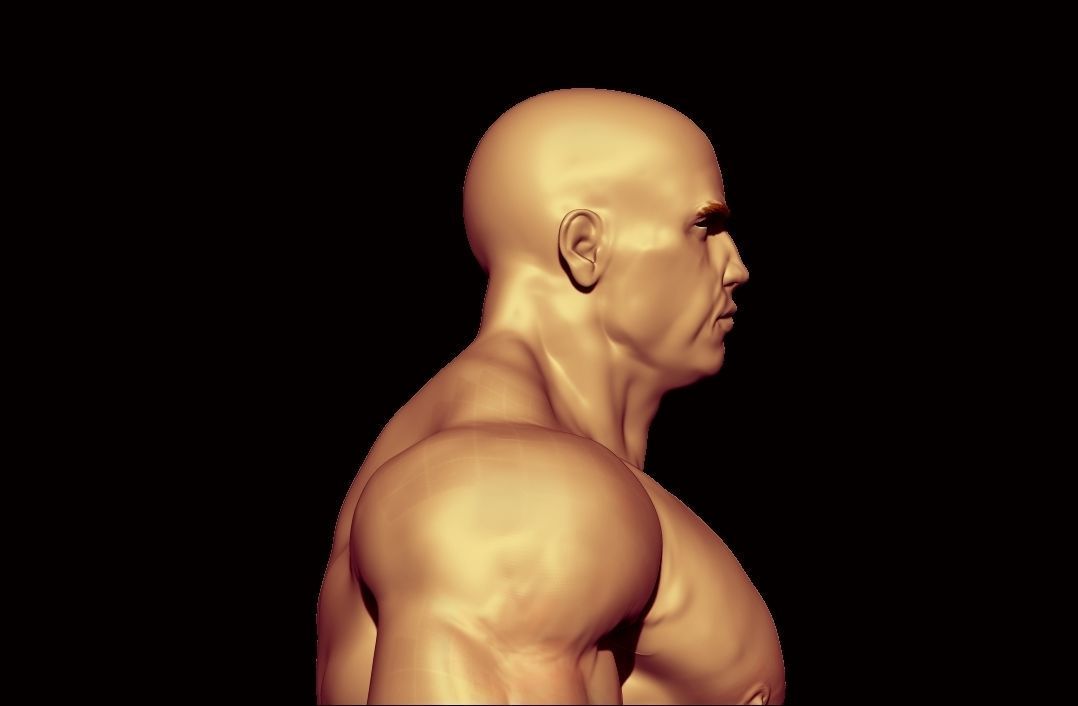 bodybuilder male Low-poly 3D model_2