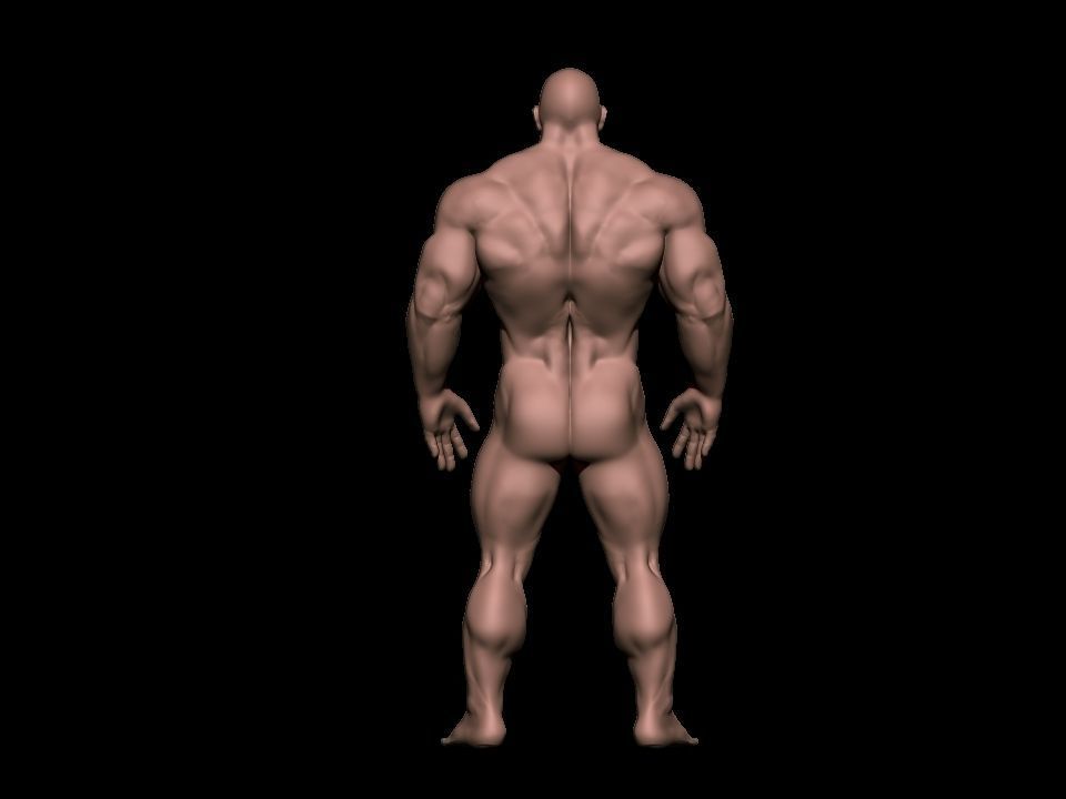 bodybuilder male Low-poly 3D model_14