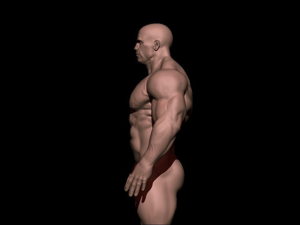 bodybuilder male Low-poly 3D model_15