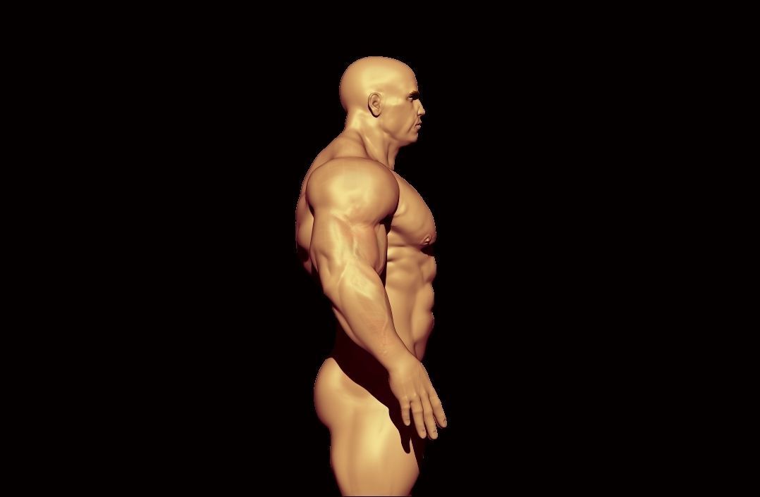 bodybuilder male Low-poly 3D model_6
