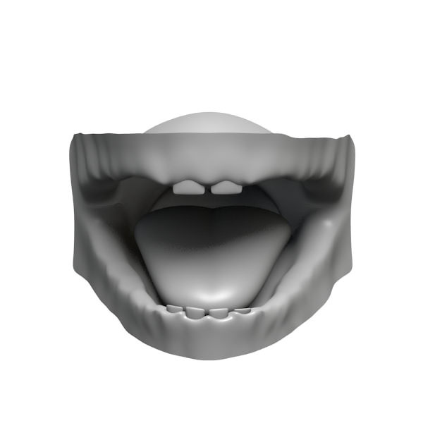 Baby Head 3D model_5