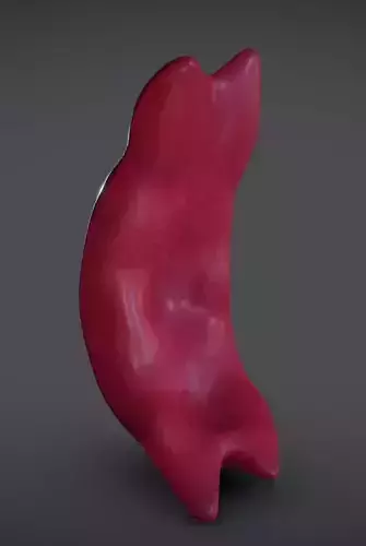 Sickled Red Blood Cell