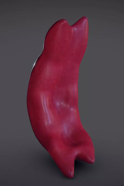 Sickled Red Blood Cell Low-poly 3D model