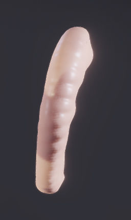 Baby stages - Fetal Development Low-poly 3D model_13