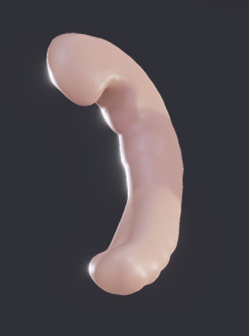 Baby stages - Fetal Development Low-poly 3D model_5