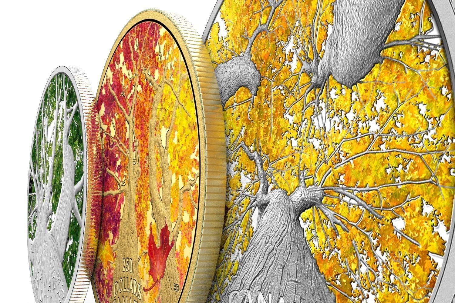 Canadian 20 dollars coins 3D model_1