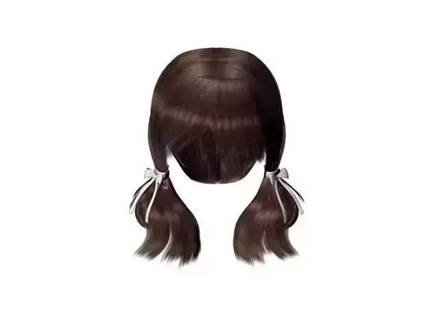 Two ponytail female hair