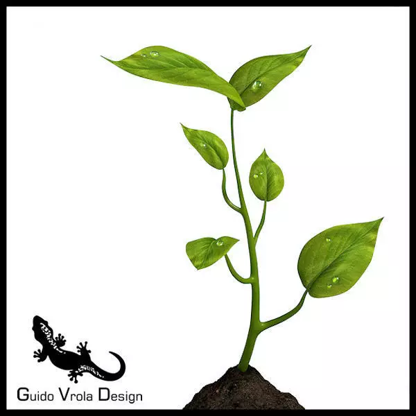 Small plant 3D model_0