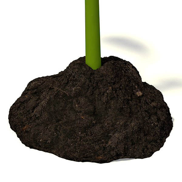 Small plant 3D model_1