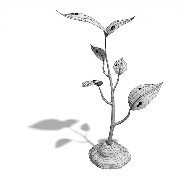 Small plant 3D model_3