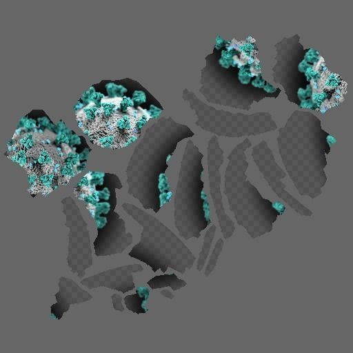 coronavirus coin Free 3D model_1