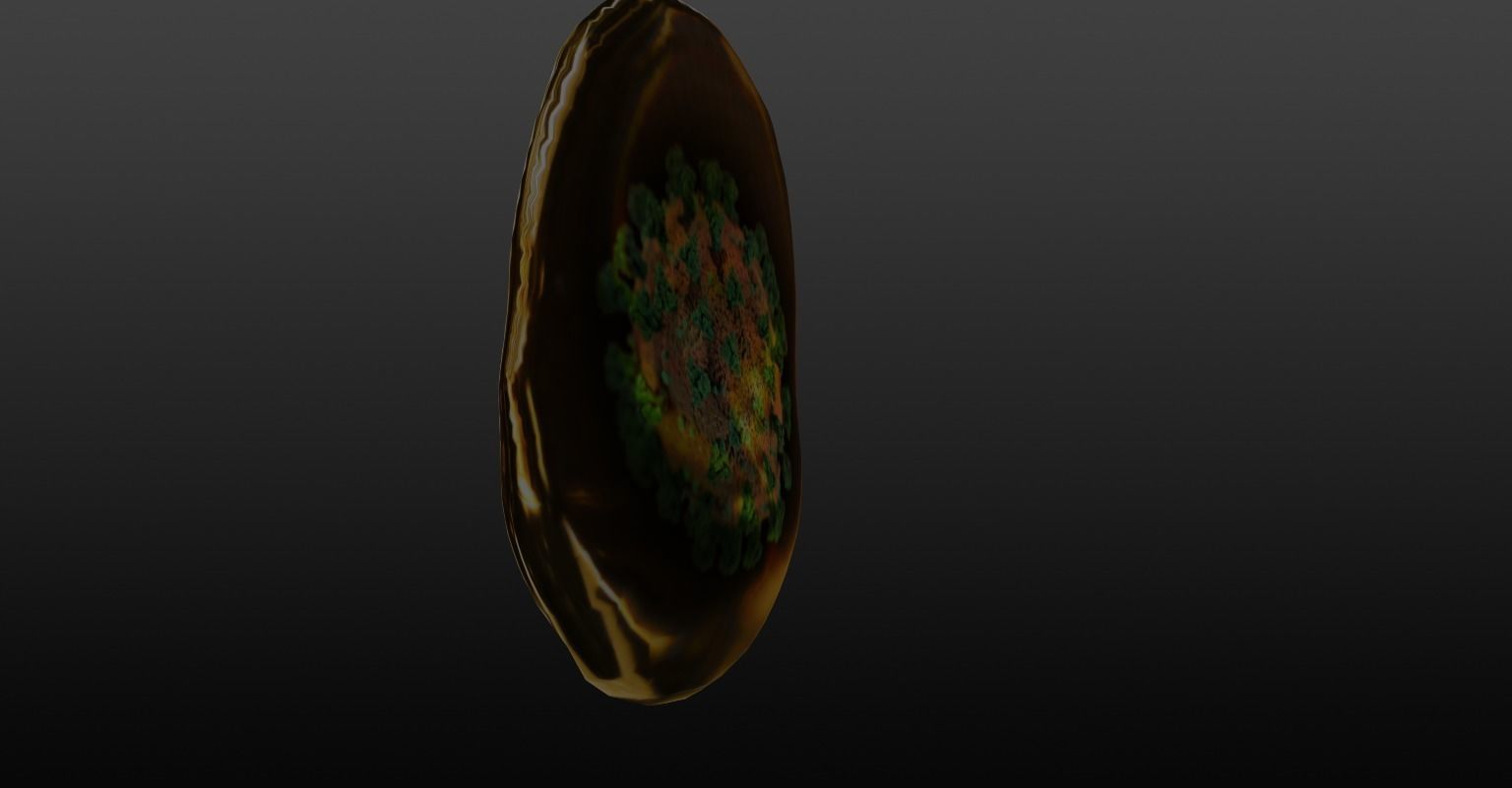 coronavirus coin Free 3D model_5
