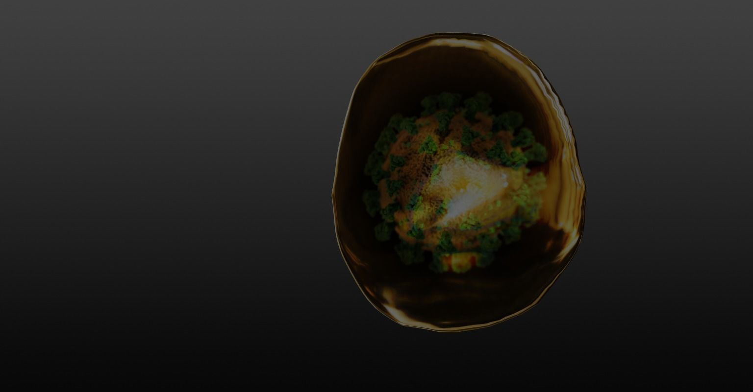 coronavirus coin Free 3D model_4