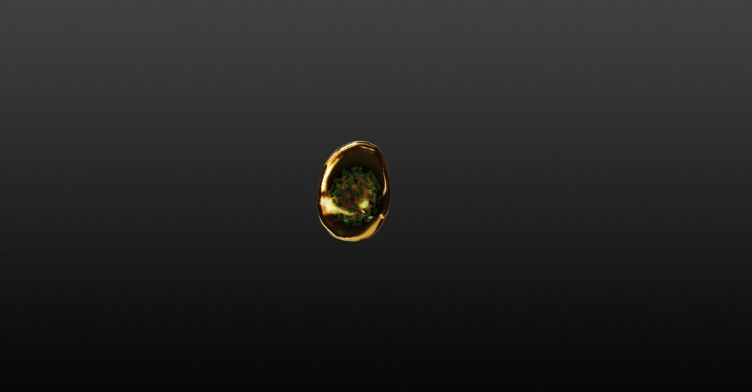 coronavirus coin Free 3D model_2