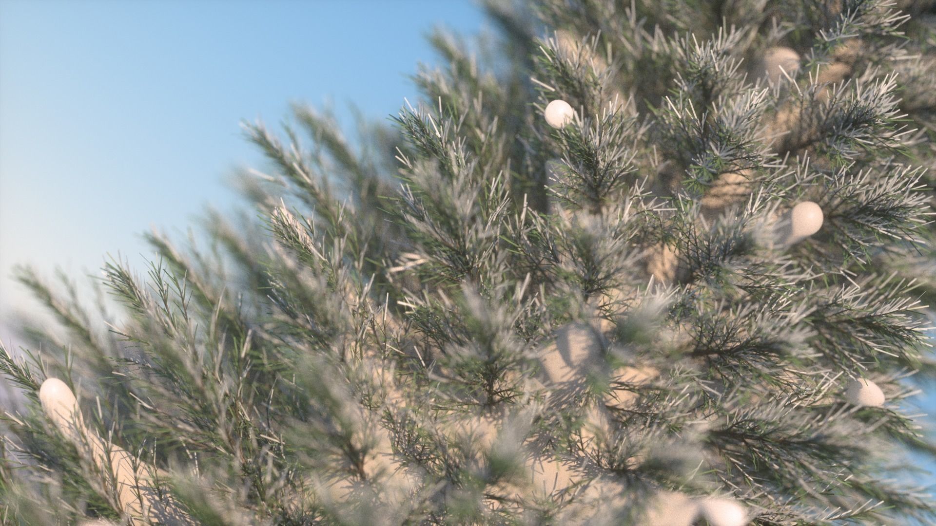 Snow Tree 3D model_1