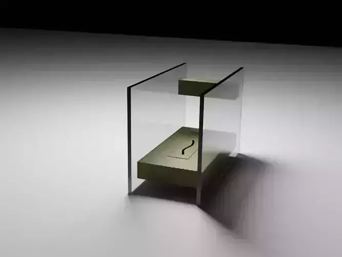 bio-fireplace glass box with object inside