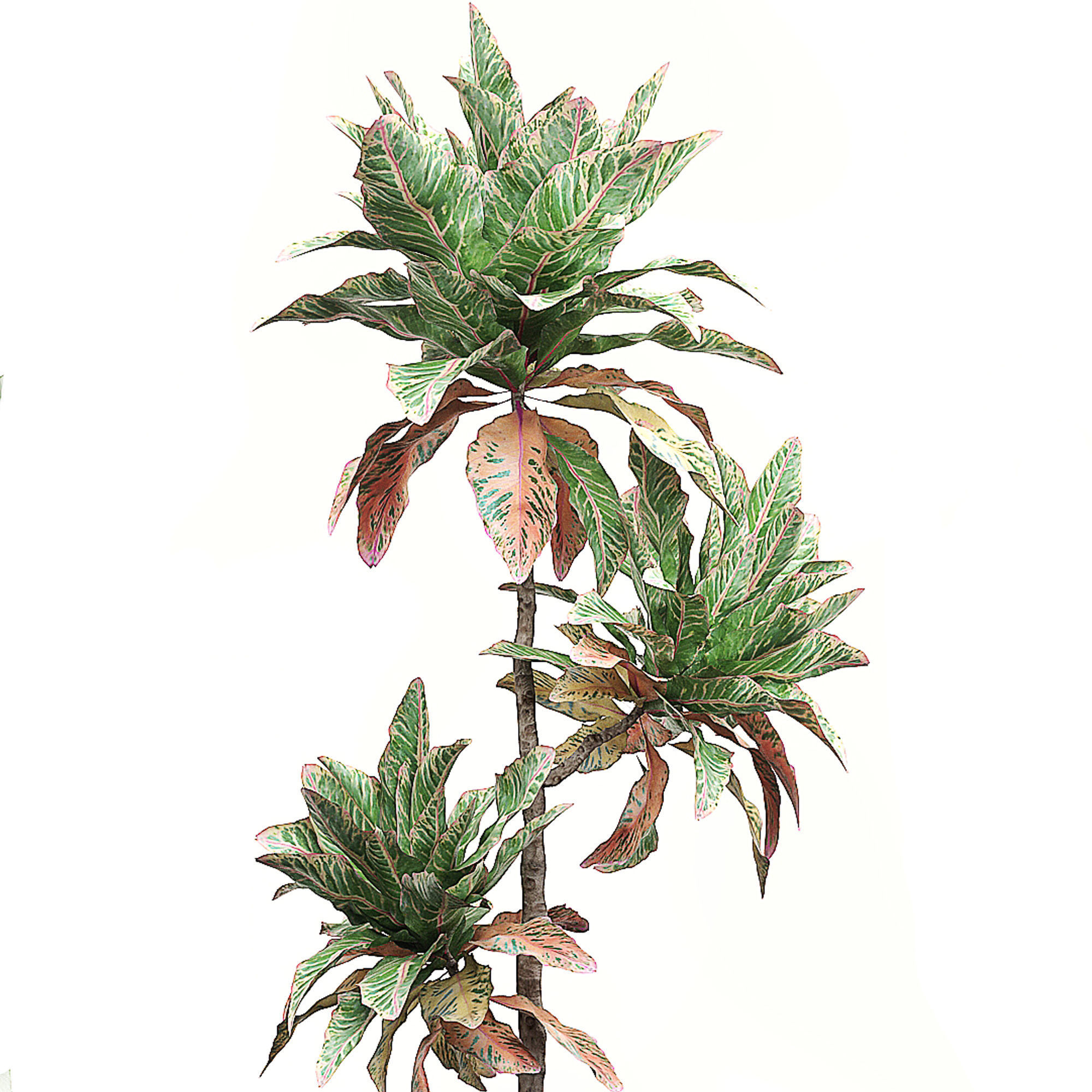 Potted plants Set 32 3D model_3